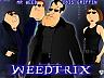 Xx~WEEd~xX's Avatar